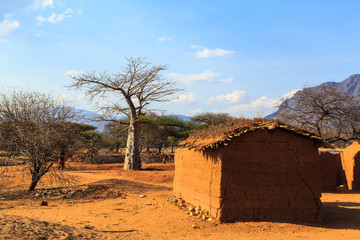 House surrounded by baobab trees in Africa