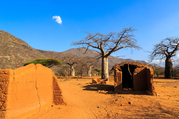 House surrounded by baobab trees in Africa