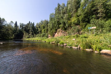 Fototapeta na wymiar mountain river in summer surrounded by forest