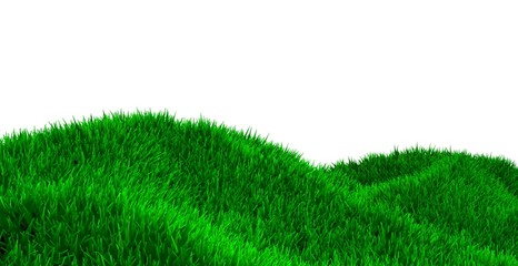Green hill of grass