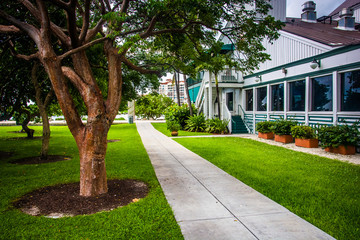 Trees and building along a path at South Pointe Park, Miami Beac