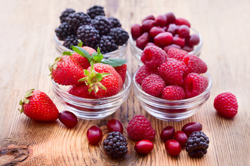 strawberries, dogwood, blackberries and raspberries in bowls