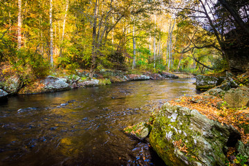 Early autumn color along the Gunpowder River in Gunpowder Falls