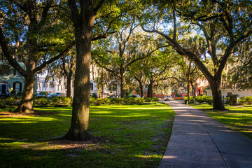 Large oak trees and spanish moss along a path in Forsyth Park, S