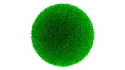 Green Grass Ball