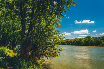 Trees along the Potomac River on a sunny spring day, Point of Ro