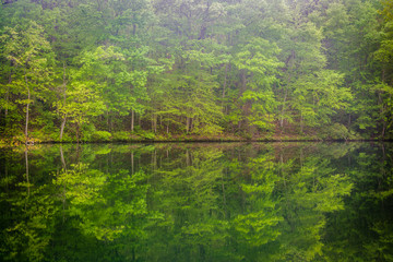 Fototapeta na wymiar Trees reflecting in Prettyboy Reservoir in Baltimore County, Mar