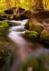 Cascades on South River, Shenandoah National Park, Virginia.