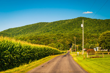 Fototapeta na wymiar Country road and view of the Blue Ridge Mountains in the Shenand
