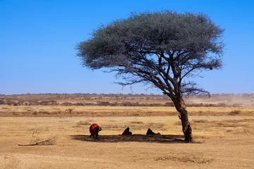 Keuken spatwand met foto Africa Savanna landscape © Yü Lan
