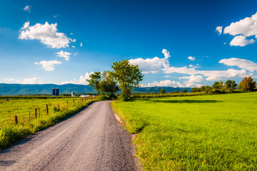 Fototapeta na wymiar Dirt country road through farmland in the Shenandoah Valley, Vir