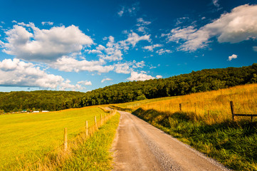 Naklejka premium Dirt road in the Shenandoah Valley, Virginia.