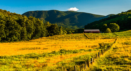Farm and view of the Appalachians in the Shenandoah Valley, Virg