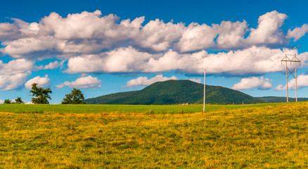 Fototapeta na wymiar Farm field and view of the Blue Ridge Mountains in the Shenandoa