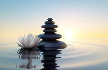 Foto op Plexiglas Witte lotusbloem en stenen in het water © peterschreiber.media