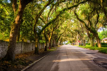 Keuken spatwand met foto Oak trees along Magnolia Avenue in St. Augustine, Florida. © jonbilous