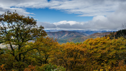 Obraz premium Mountain Range Covered in Turning Leaves