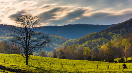 Spring colors in the hills of the Shenandoah Valley, Virginia.