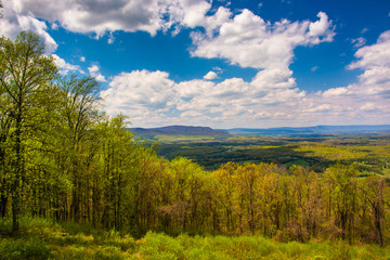 Fototapeta na wymiar Spring view of the Shenandoah Valley from Skyline Drive in Shena