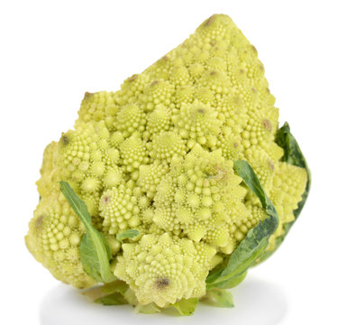 Romanesco broccoli isolated on white