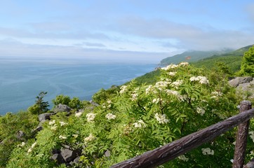 雄冬岬の風景