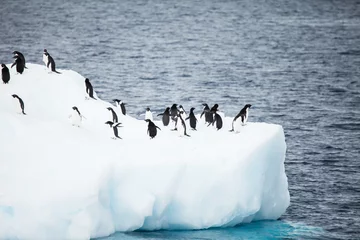 Rolgordijnen iceberg © ksumano