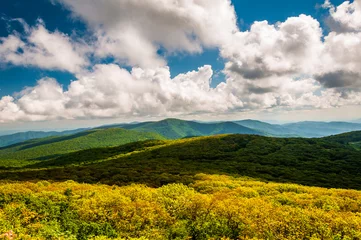 Fotobehang View of the Blue Ridge Mountains from Stony Man Mountain, in She © jonbilous