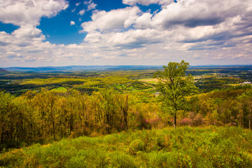 Fototapeta na wymiar View of the Shenandoah Valley from Skyline Drive in Shenandoah N