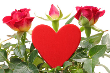 Liebe