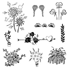 set of flower sketch vector,free hand drawing doodle sketch