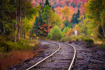 Autumn color along a railroad track in White Mountain National F