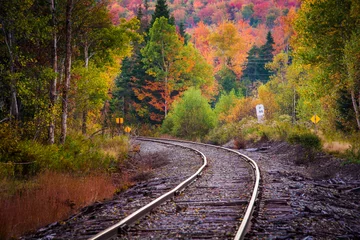 Tuinposter Herfstkleur langs een spoorlijn in White Mountain National F © jonbilous