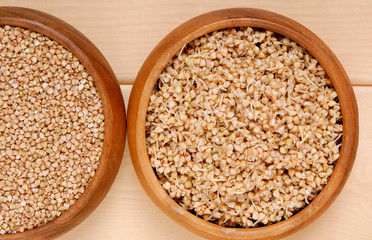 sprouted kernel of buckwheat and  raw  cereals