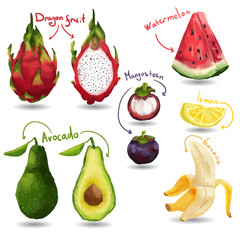 Set of tropical fruits. Isolated vector.