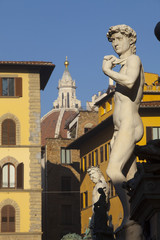 Italia,Toscana,Firenze,David di Michelangiolo