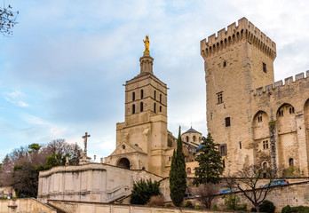 Fototapeta na wymiar Cathedral Notre-Dame des Doms of Avignon, France