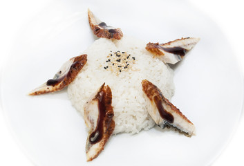rice and fish meat eel on white background