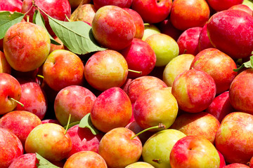 prunes, île de la Réunion