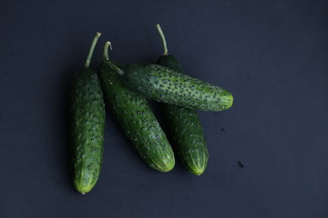 Cucumber