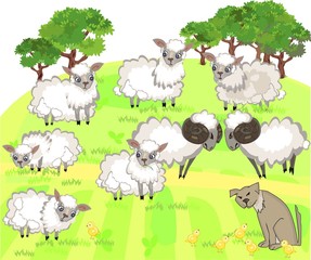 Flock of sheep and shepherd dog