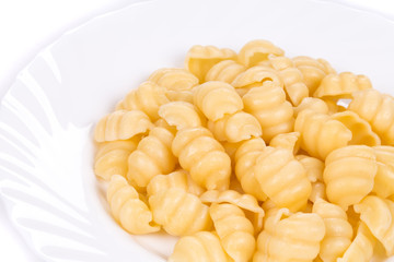 Italian pasta shells