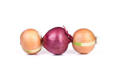 ripe onions