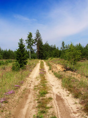 Road in Russian taiga