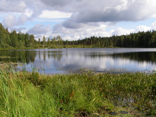 Fototapeta na wymiar Lake in the Russian taiga