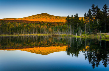 Fototapeta premium Mount Deception reflecting in a pond in White Mountain National