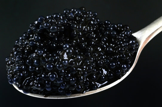 Une cuillère de caviar