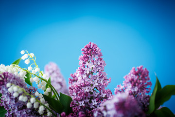 bouquet of beautiful purple lilac