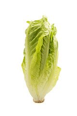 green lettuce