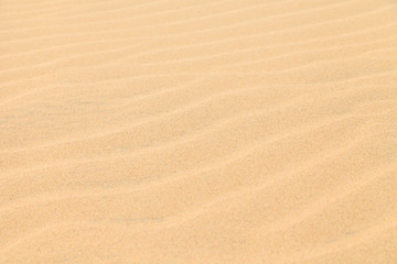 Texture Sand Dune Desert in Boavista, Cape Verde