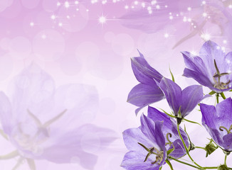 Obraz na płótnie Canvas lilac bells
